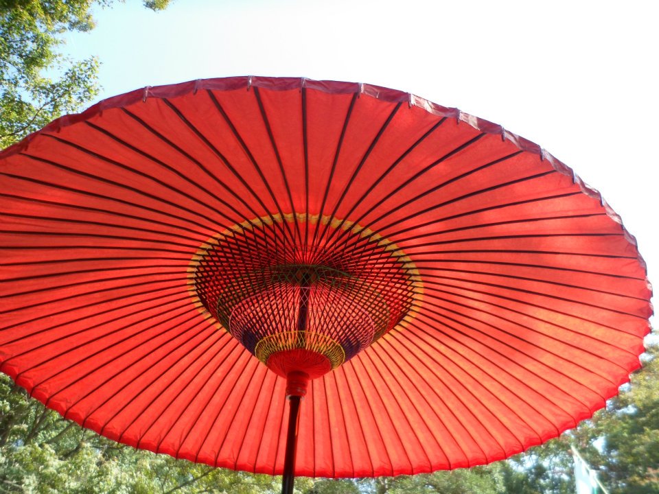 japanese_parasol